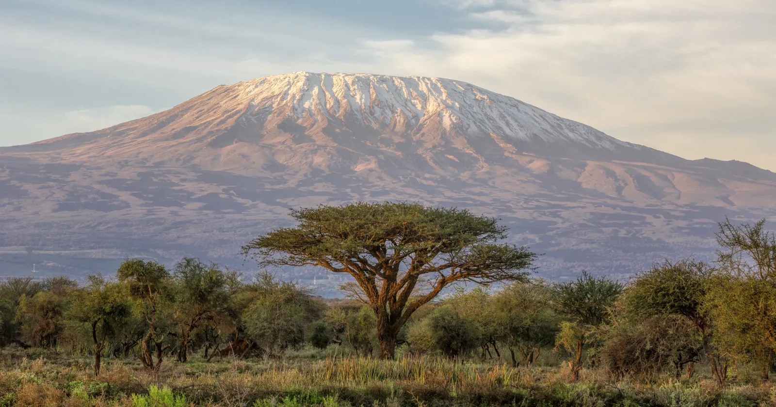Mount Kilimanjaro above the surrounding plains