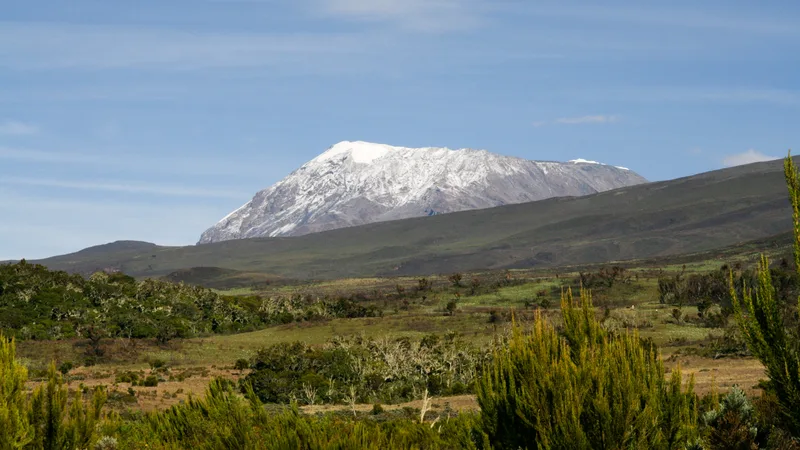 Mount Kilimanjaro seen from the Marangu route