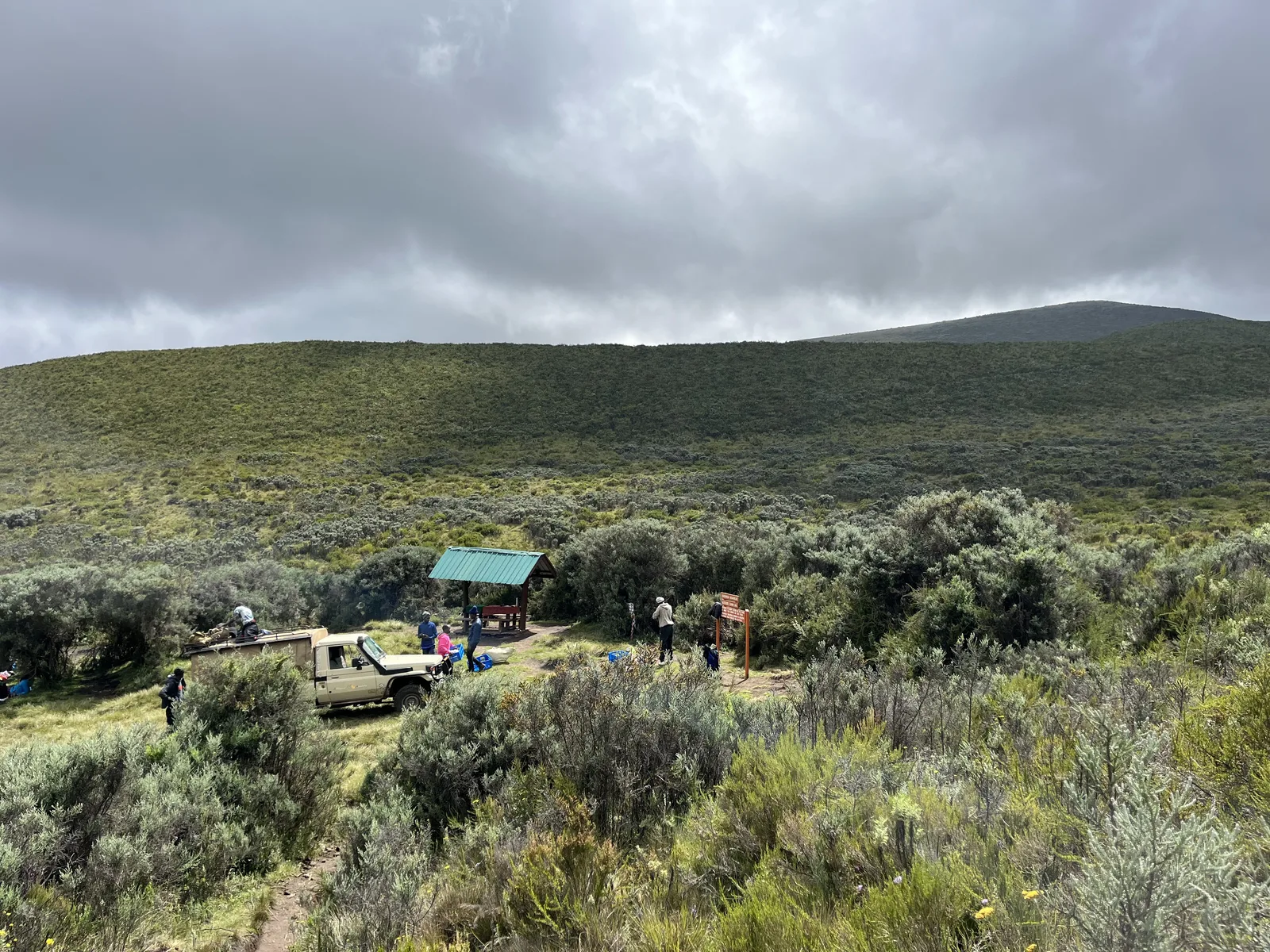Camping among the vegetation on Mount Kenya