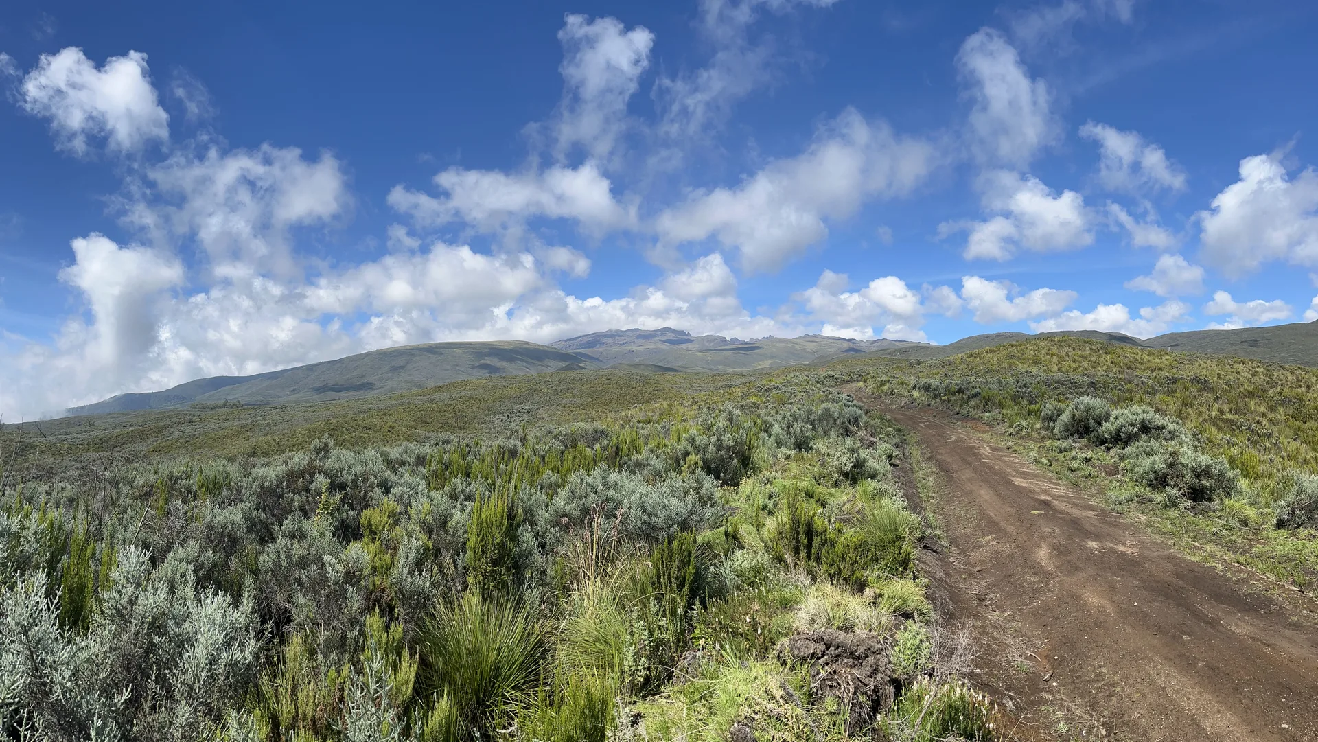 A broad trail across the Mount Kenya moorland
