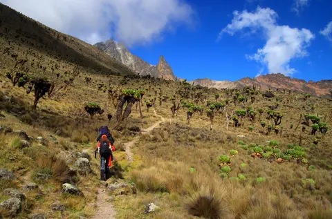 Mount Kenya hike Sirimon Naromoru - 4 days | EquitorialStar