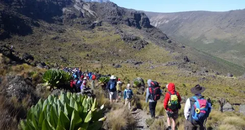 Sirimon – Chogoria 4 Days Mount Kenya Hiking Adventure