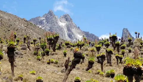 Mount Kenya Chogoria Sirimon route 4 Days – EquitorialStar