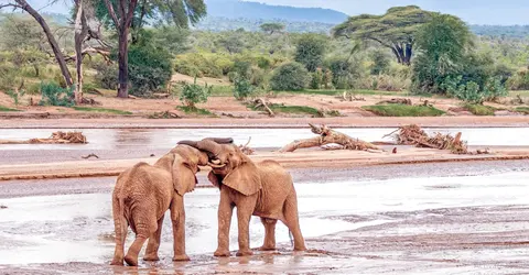 Samburu National Reserve Safaris in Kenya – EquitorialStar