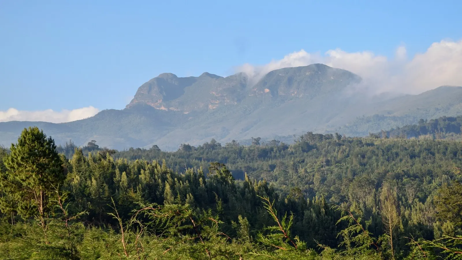 1-day Aberdare Elephant Hill Trek