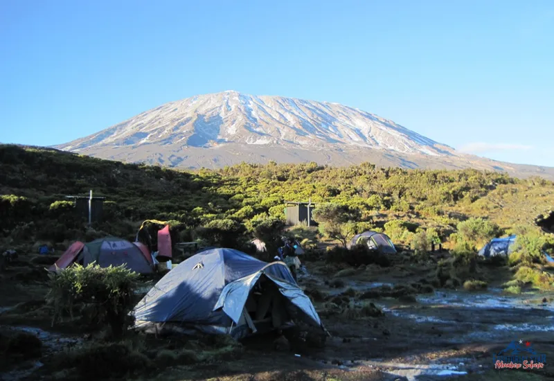 Set up a camping site while hiking Africa’s tallest mountain