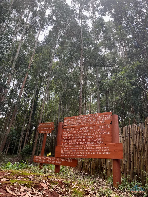 Climbing Mount Kenya 2