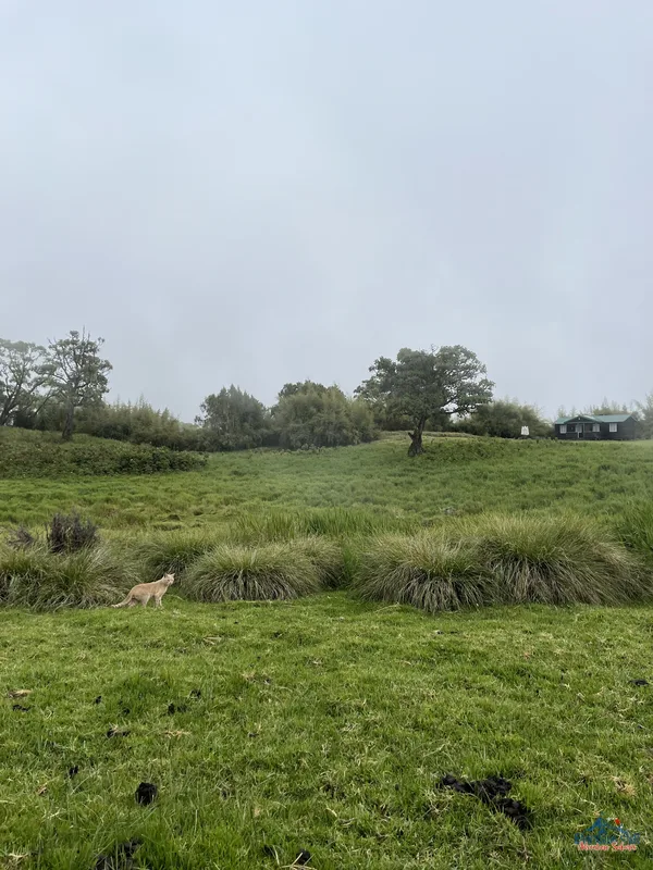 Climbing Mount Kenya 8