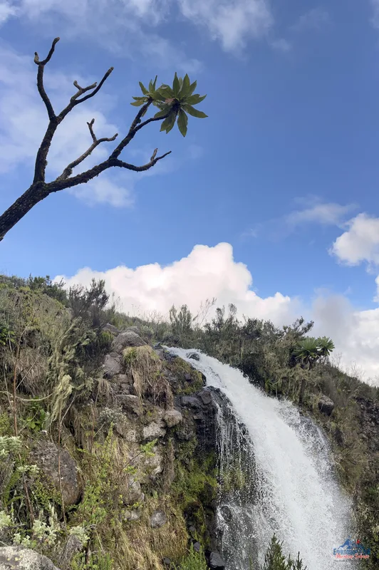 Climbing Mount Kenya 27