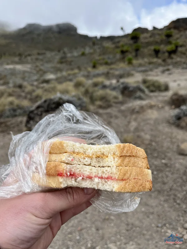 Climbing Mount Kenya 37