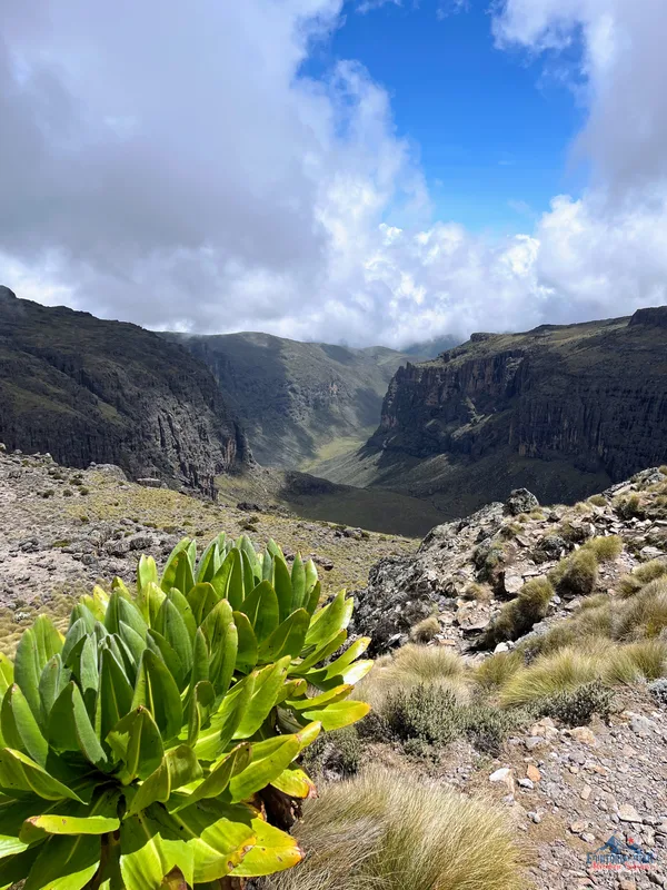 Climbing Mount Kenya 40