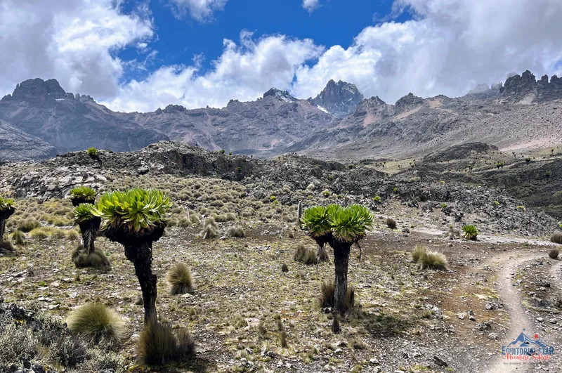 Climbing Mount Kenya 41