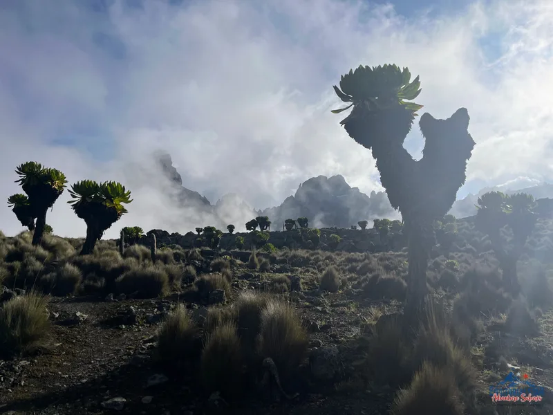 Climbing Mount Kenya 42