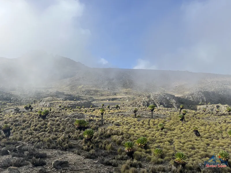 Climbing Mount Kenya 46