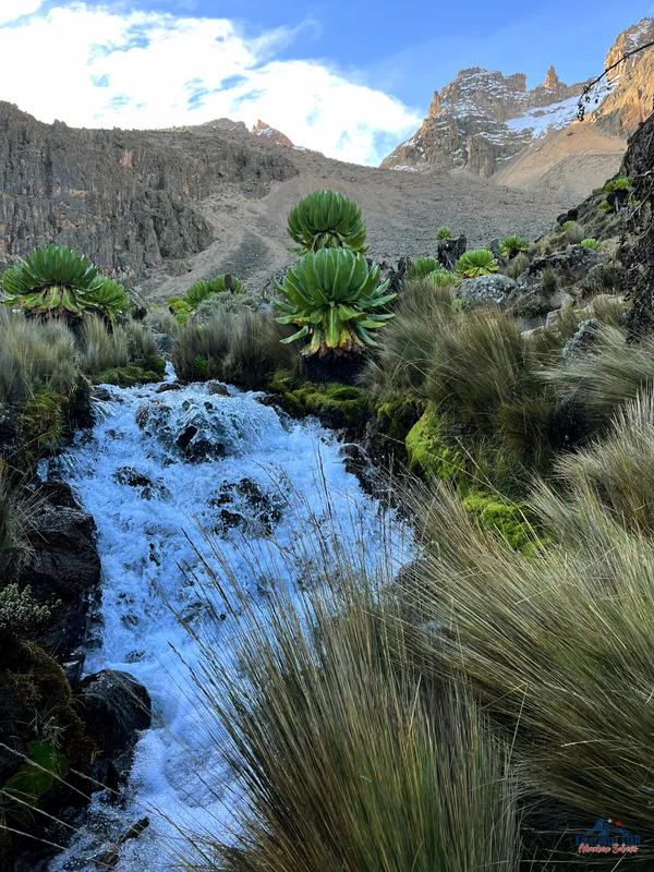 Climbing Mount Kenya 57