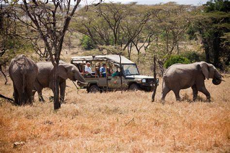 Maasai Mara Safari and Camping 3 Days – EquitorialStar Kenya