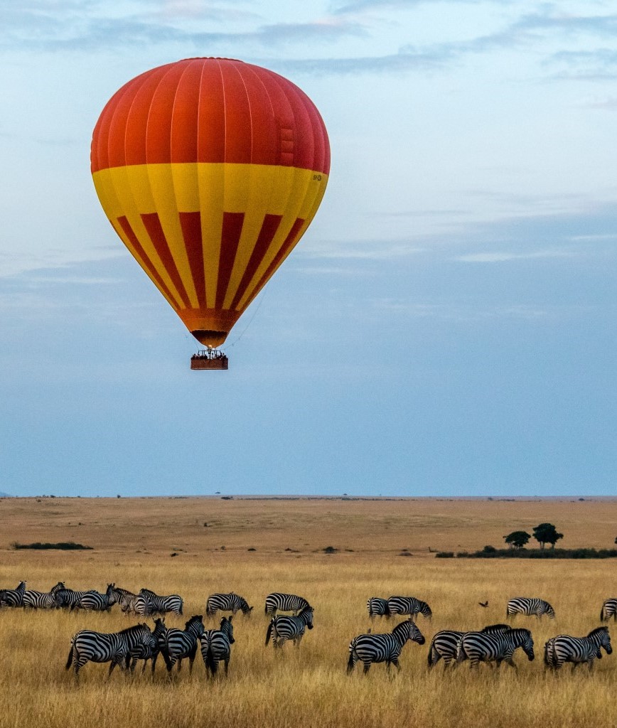 Kenya Safari: 5 days Maasai Mara, Lake Nakuru & Naivasha