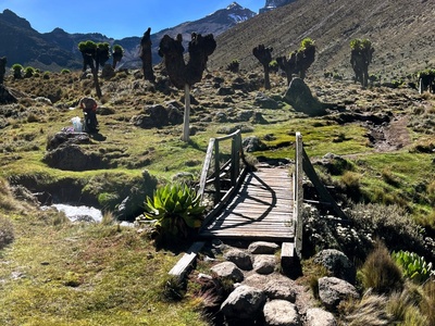 Sirimon Route: 4 Days Mount Kenya Trek – EquitorialStar