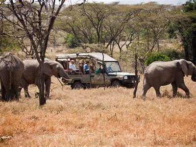 Maasai Mara Safari and Camping 3 Days – EquitorialStar Kenya