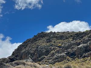 Climbing Mount Kenya 39