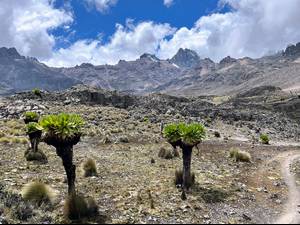 Climbing Mount Kenya 41