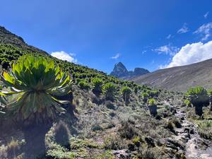 Climbing Mount Kenya | Makindas Valley