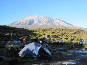 Set up a camping site while hiking Africa’s tallest mountain